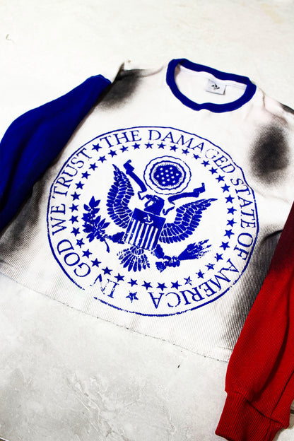 “DAMAGED STATE OF AMERICA” Tee