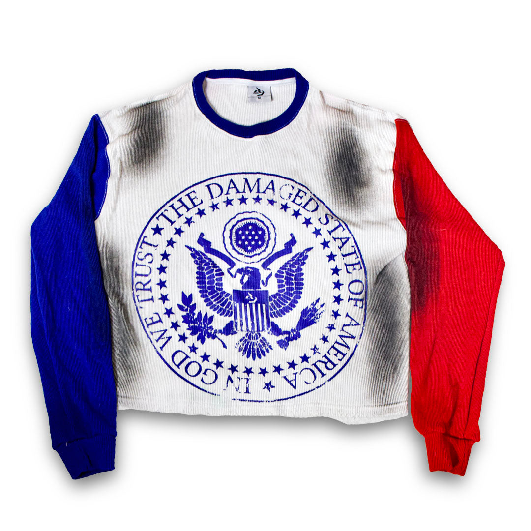 “DAMAGED STATE OF AMERICA” Tee